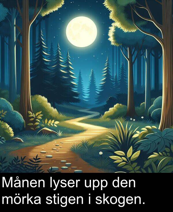 lyser: Månen lyser upp den mörka stigen i skogen.