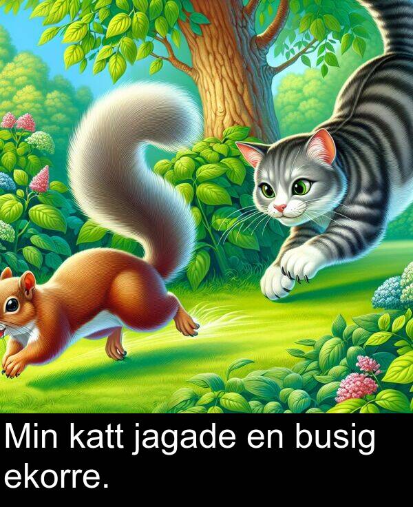 jagade: Min katt jagade en busig ekorre.