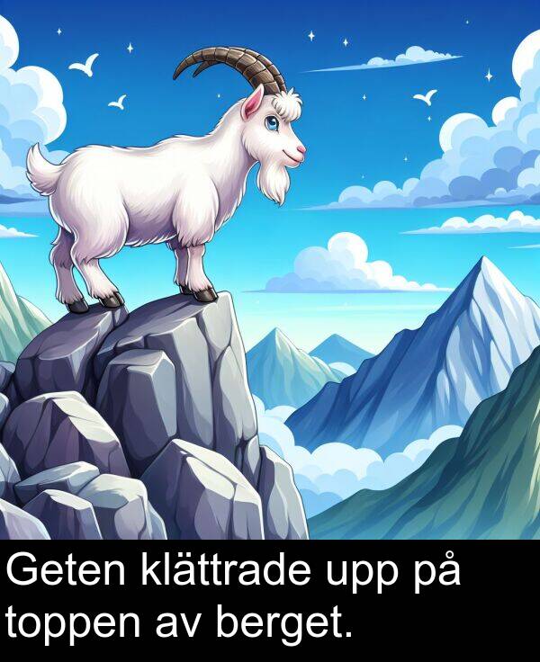 toppen: Geten klättrade upp på toppen av berget.