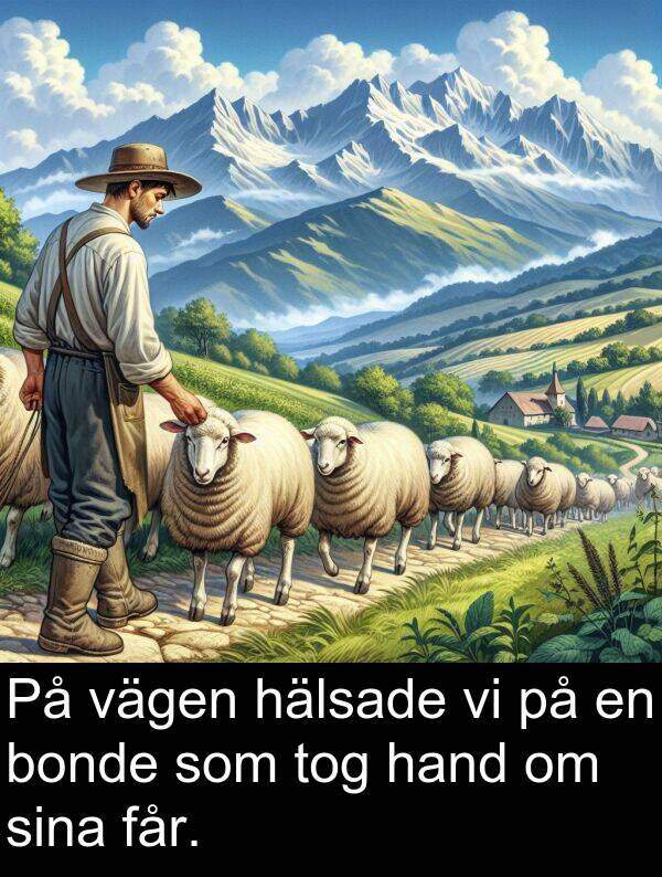 vägen: På vägen hälsade vi på en bonde som tog hand om sina får.