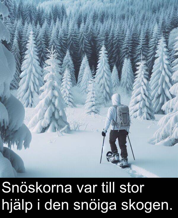 snöiga: Snöskorna var till stor hjälp i den snöiga skogen.