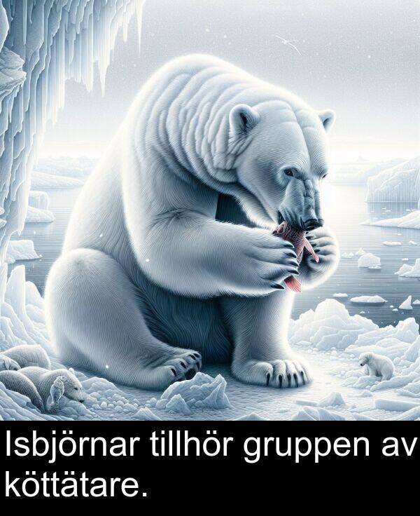 tillhör: Isbjörnar tillhör gruppen av köttätare.