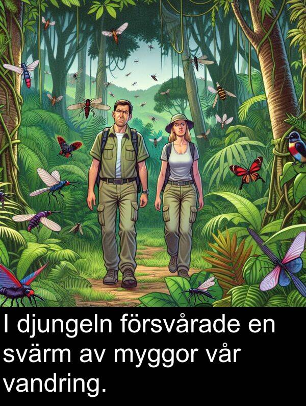 försvårade: I djungeln försvårade en svärm av myggor vår vandring.