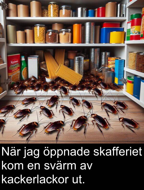öppnade: När jag öppnade skafferiet kom en svärm av kackerlackor ut.