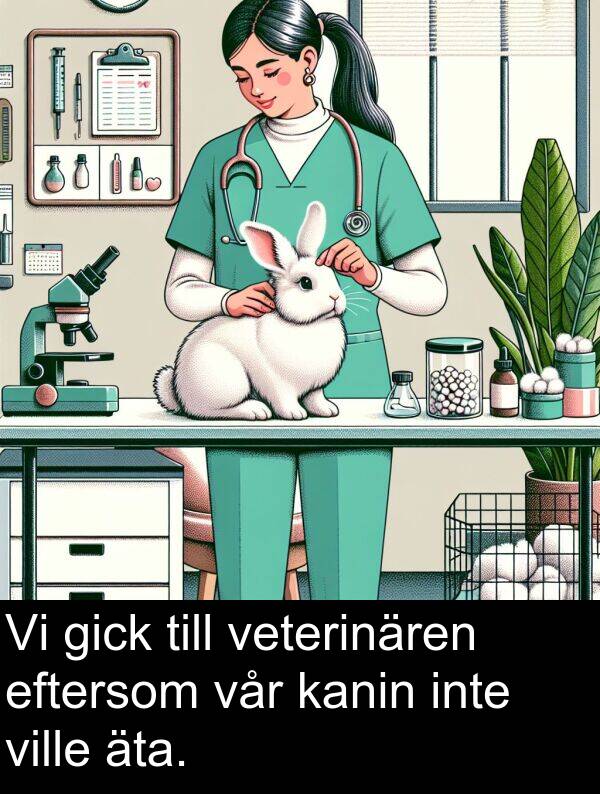 äta: Vi gick till veterinären eftersom vår kanin inte ville äta.