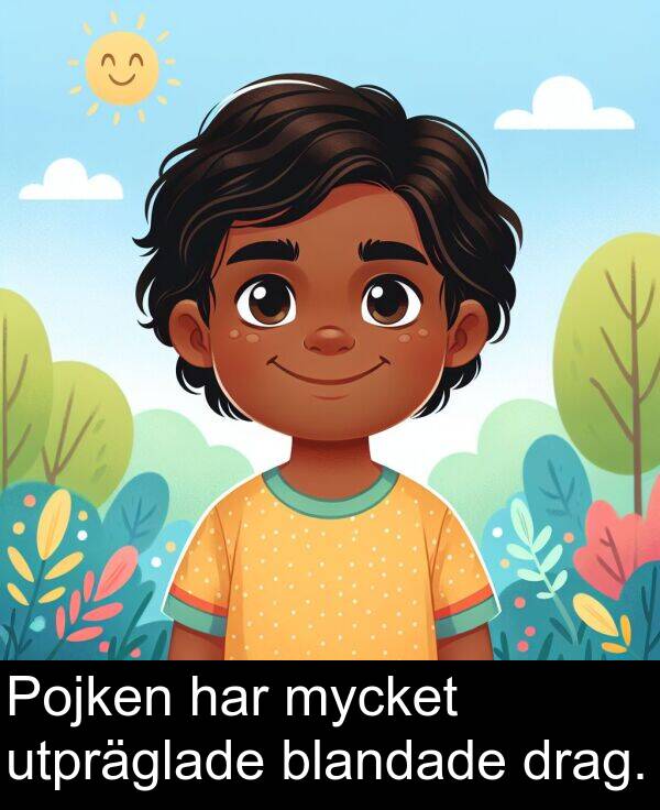 har: Pojken har mycket utpräglade blandade drag.