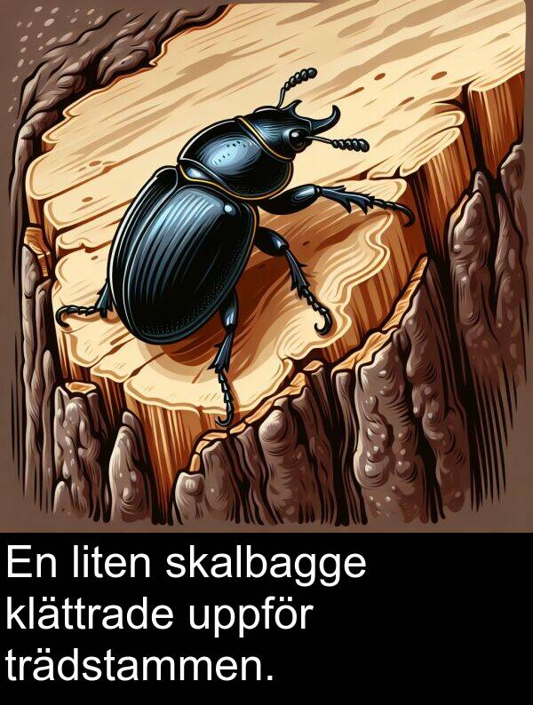 skalbagge: En liten skalbagge klättrade uppför trädstammen.