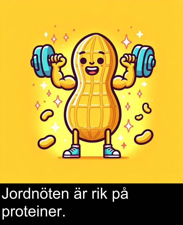 proteiner: Jordnöten är rik på proteiner.