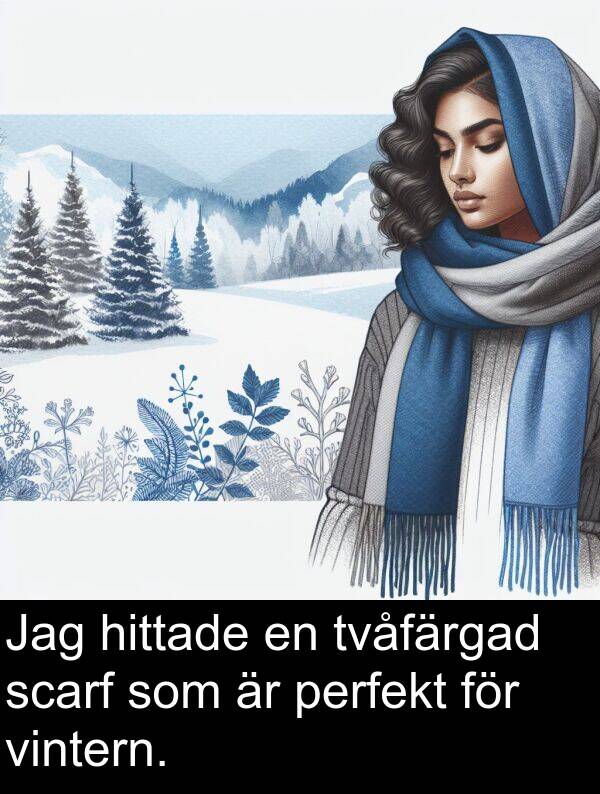vintern: Jag hittade en tvåfärgad scarf som är perfekt för vintern.