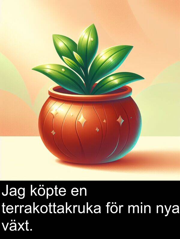 min: Jag köpte en terrakottakruka för min nya växt.