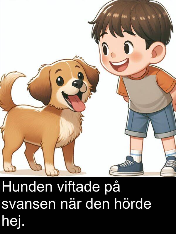 viftade: Hunden viftade på svansen när den hörde hej.