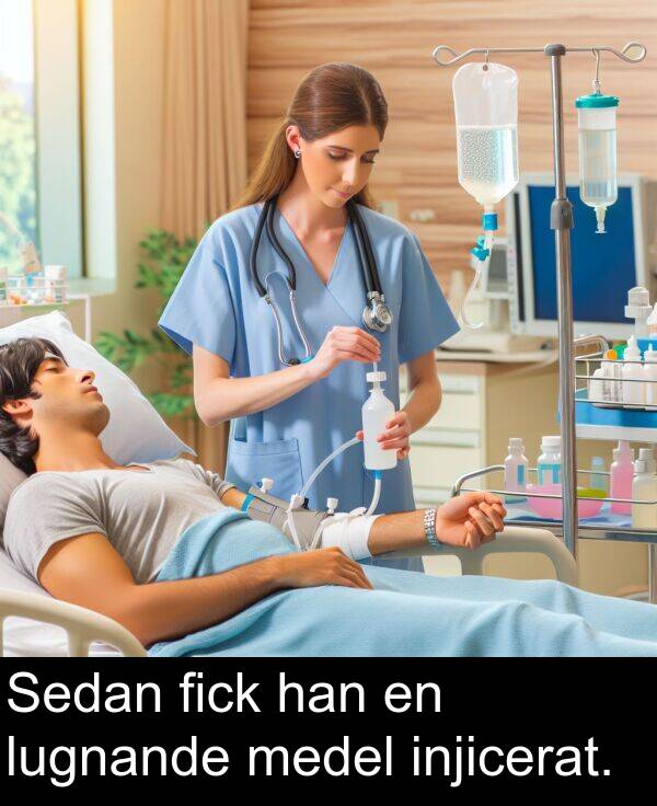medel: Sedan fick han en lugnande medel injicerat.