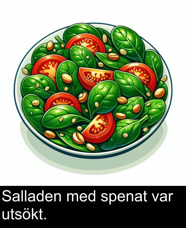 med: Salladen med spenat var utsökt.