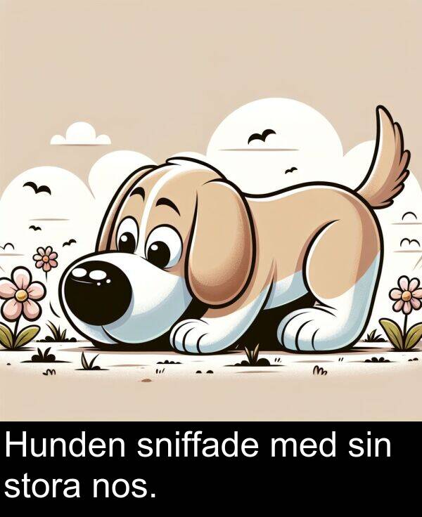 med: Hunden sniffade med sin stora nos.