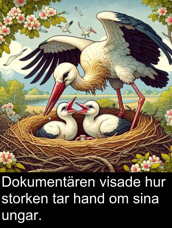 tar: Dokumentären visade hur storken tar hand om sina ungar.