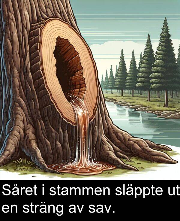 stammen: Såret i stammen släppte ut en sträng av sav.