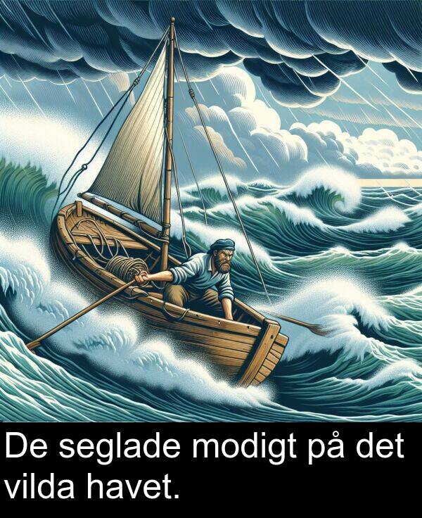 vilda: De seglade modigt på det vilda havet.