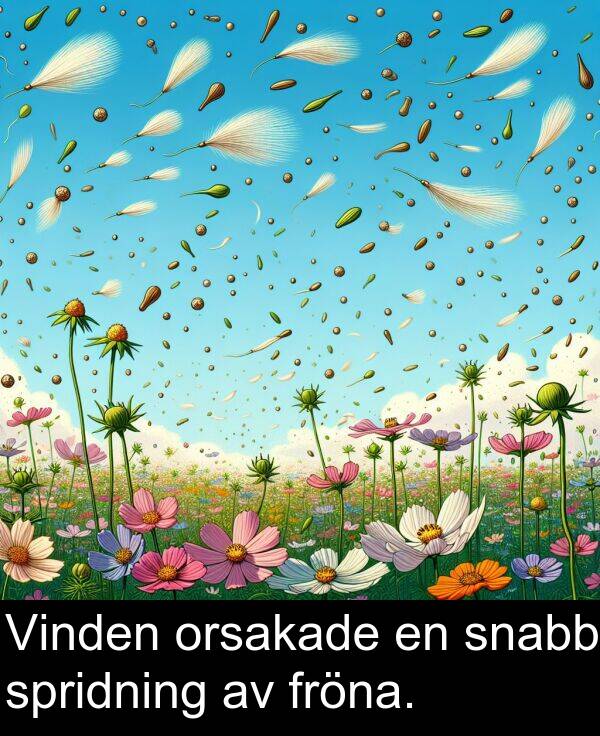 spridning: Vinden orsakade en snabb spridning av fröna.