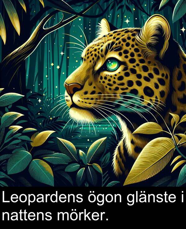 nattens: Leopardens ögon glänste i nattens mörker.