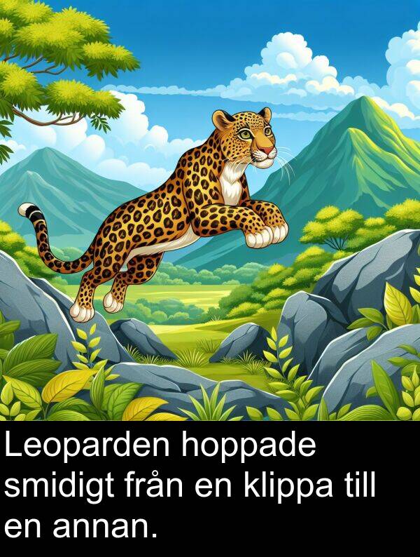 hoppade: Leoparden hoppade smidigt från en klippa till en annan.