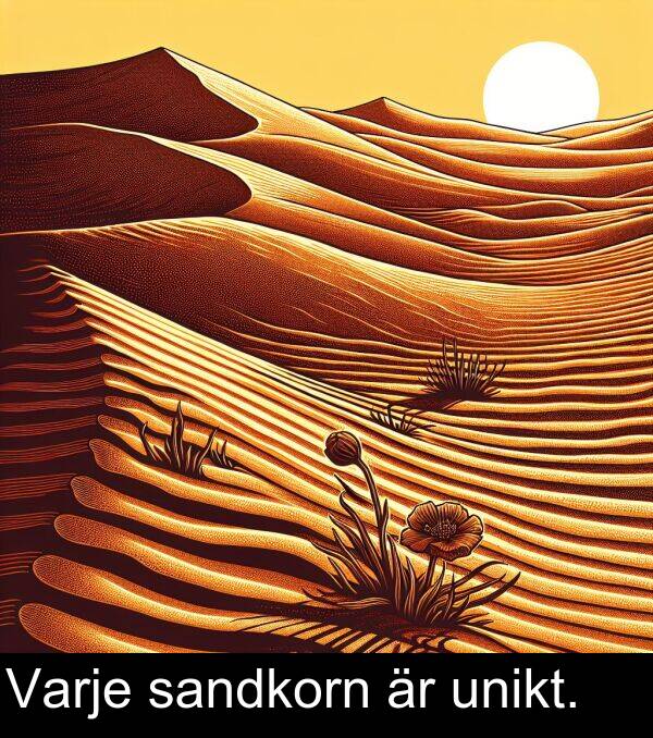 unikt: Varje sandkorn är unikt.