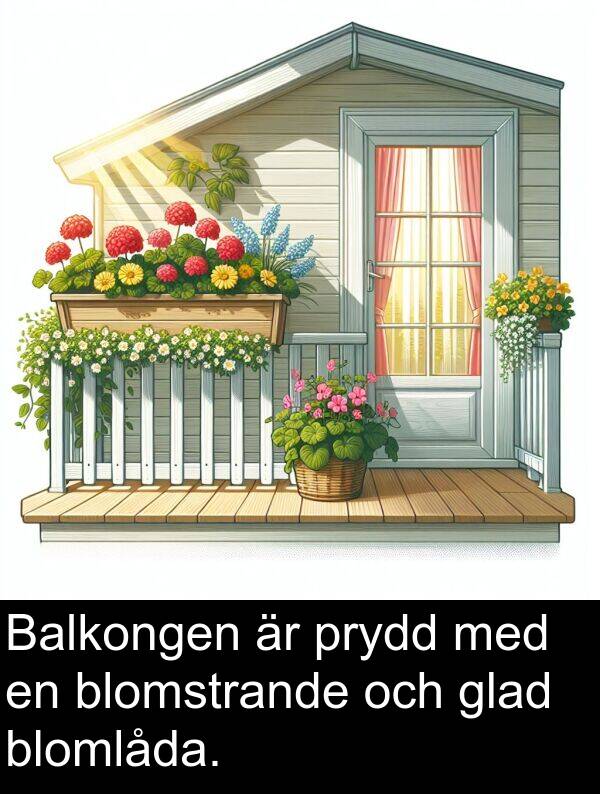 glad: Balkongen är prydd med en blomstrande och glad blomlåda.