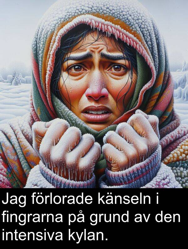 förlorade: Jag förlorade känseln i fingrarna på grund av den intensiva kylan.