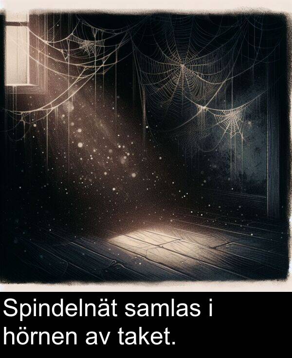 taket: Spindelnät samlas i hörnen av taket.