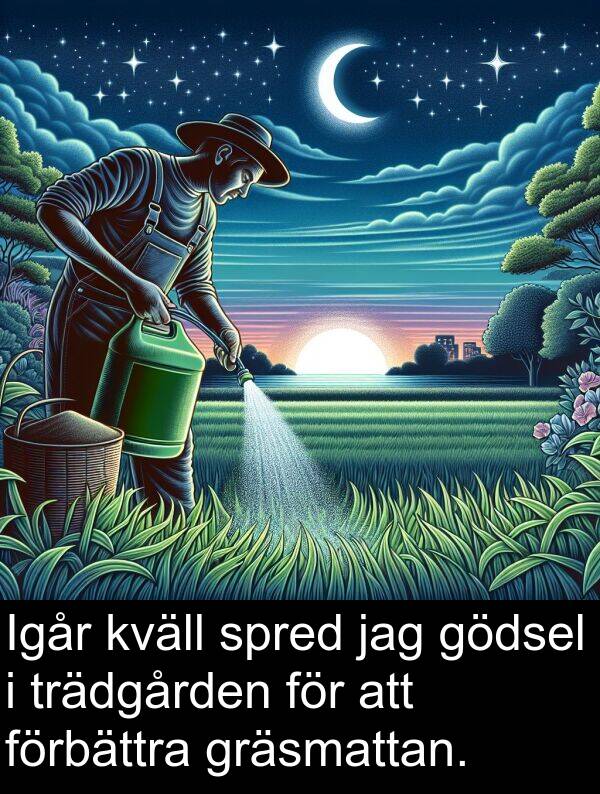 spred: Igår kväll spred jag gödsel i trädgården för att förbättra gräsmattan.