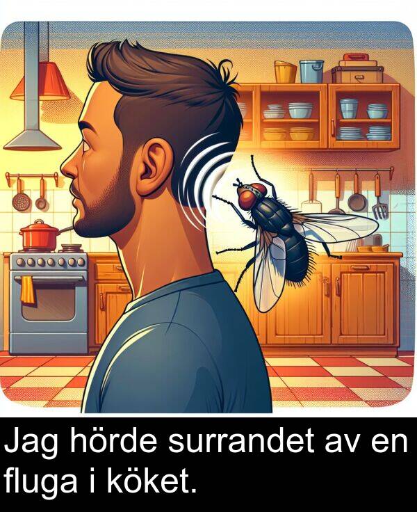 surrandet: Jag hörde surrandet av en fluga i köket.