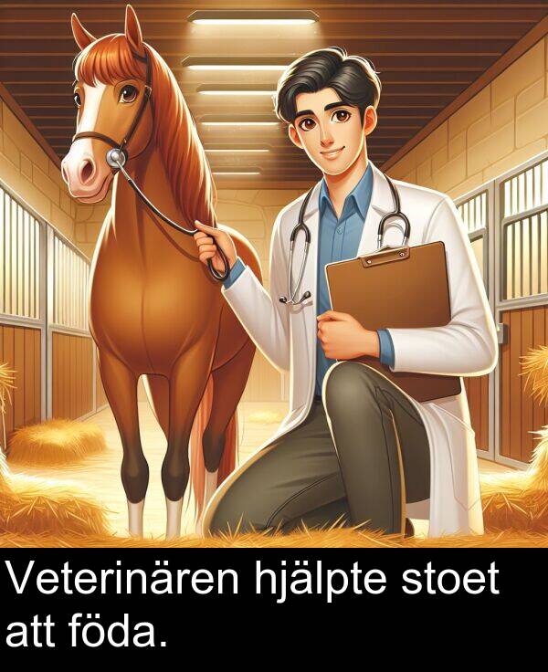 föda: Veterinären hjälpte stoet att föda.