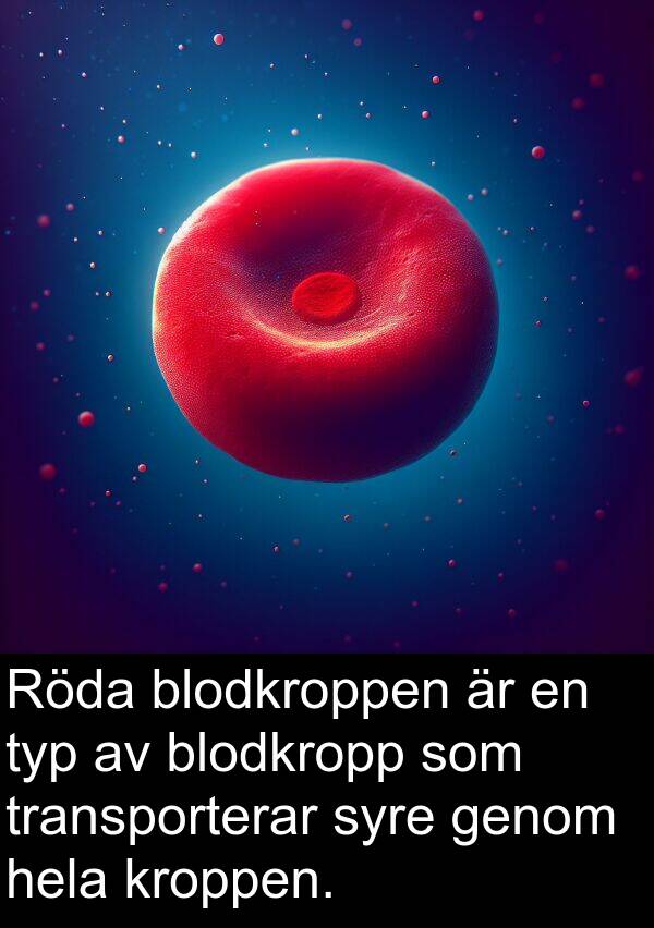 syre: Röda blodkroppen är en typ av blodkropp som transporterar syre genom hela kroppen.