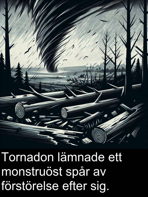 lämnade: Tornadon lämnade ett monstruöst spår av förstörelse efter sig.