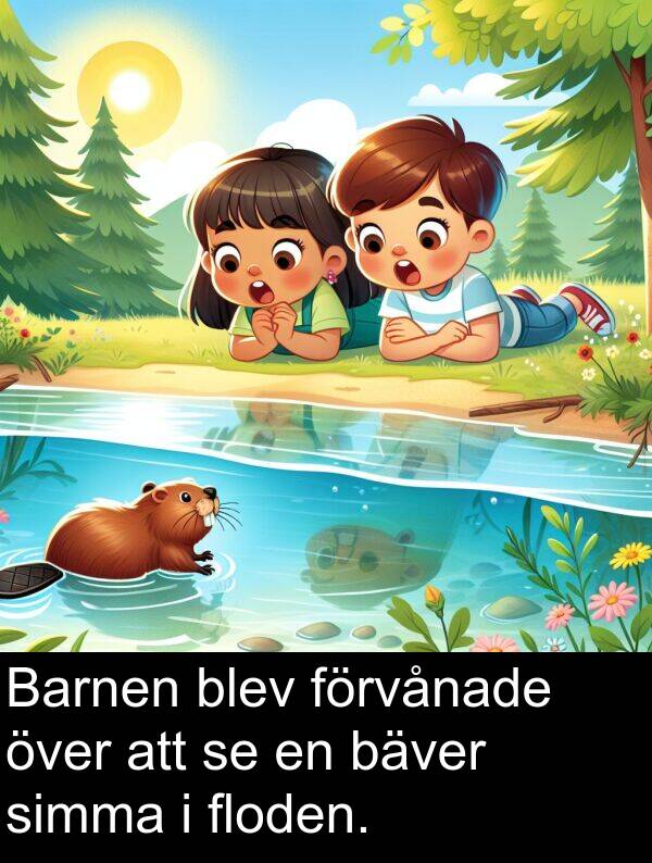 simma: Barnen blev förvånade över att se en bäver simma i floden.