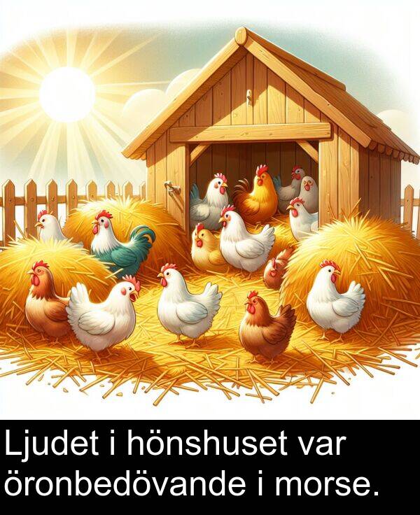 hönshuset: Ljudet i hönshuset var öronbedövande i morse.