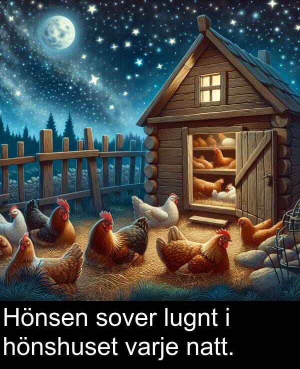 hönshuset: Hönsen sover lugnt i hönshuset varje natt.