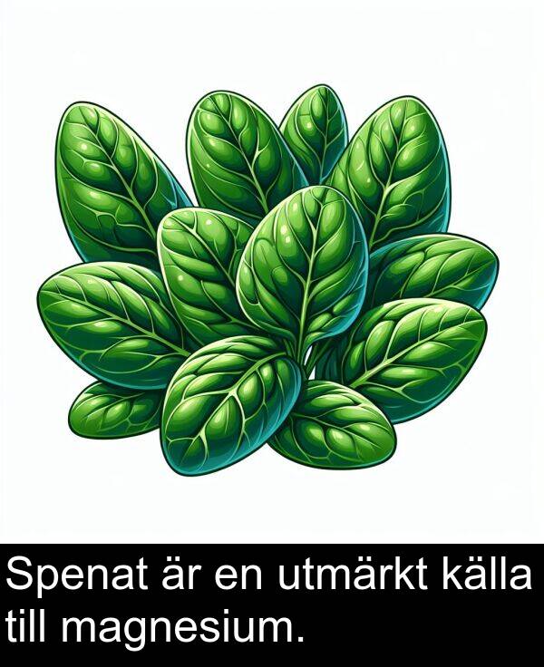 magnesium: Spenat är en utmärkt källa till magnesium.