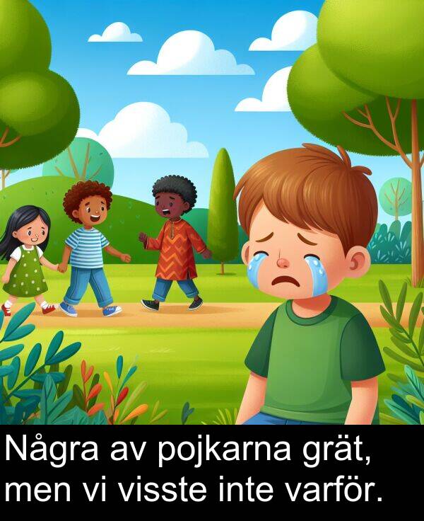 pojkarna: Några av pojkarna grät, men vi visste inte varför.