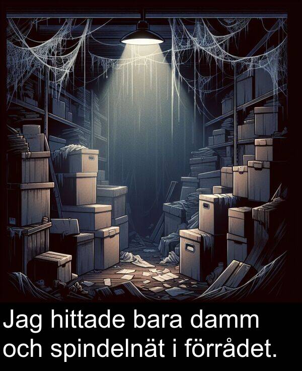 bara: Jag hittade bara damm och spindelnät i förrådet.