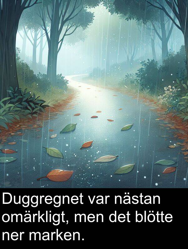 nästan: Duggregnet var nästan omärkligt, men det blötte ner marken.