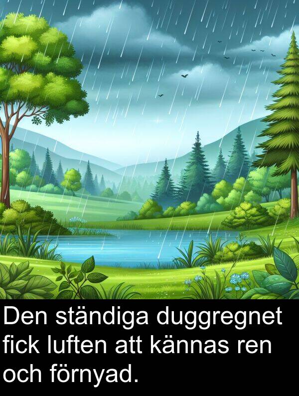 luften: Den ständiga duggregnet fick luften att kännas ren och förnyad.