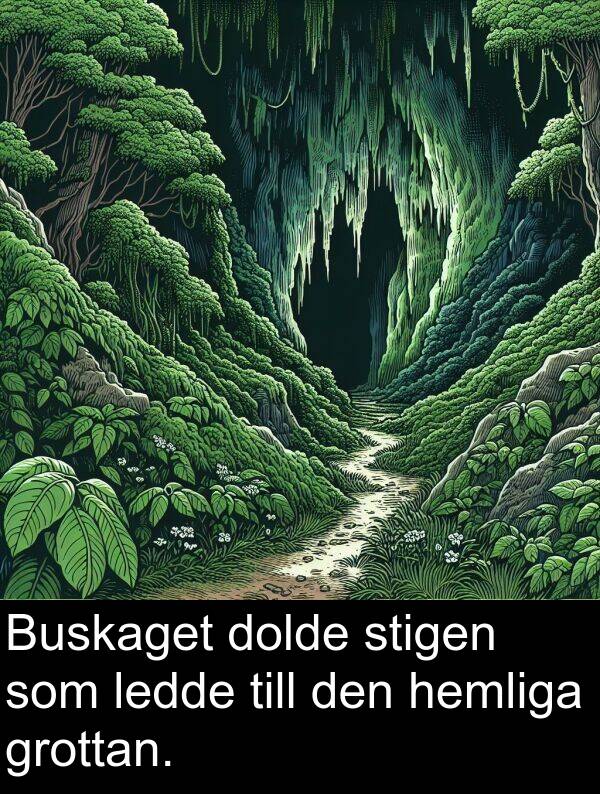 ledde: Buskaget dolde stigen som ledde till den hemliga grottan.