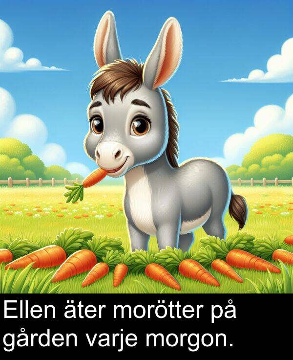 gården: Ellen äter morötter på gården varje morgon.