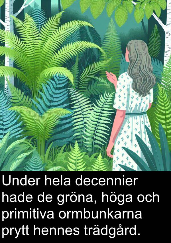decennier: Under hela decennier hade de gröna, höga och primitiva ormbunkarna prytt hennes trädgård.