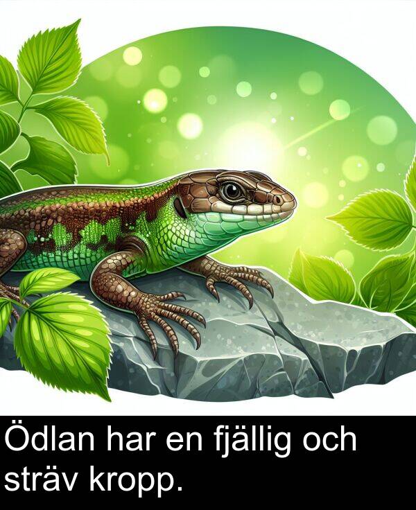 har: Ödlan har en fjällig och sträv kropp.