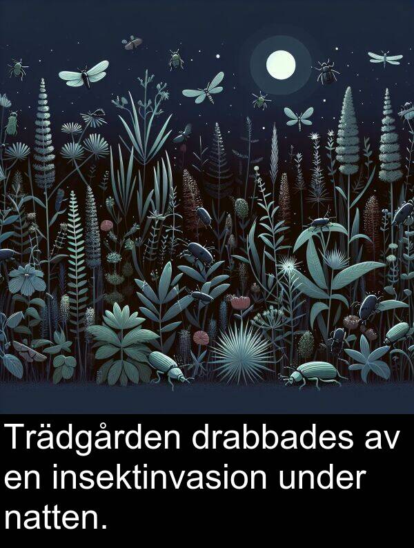 natten: Trädgården drabbades av en insektinvasion under natten.