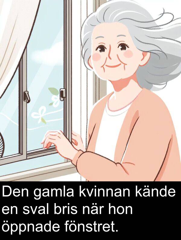 hon: Den gamla kvinnan kände en sval bris när hon öppnade fönstret.