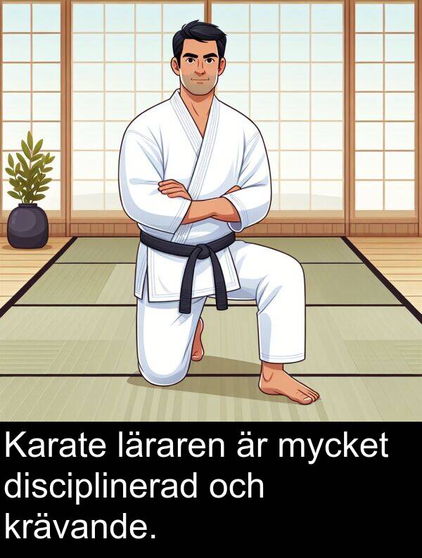 läraren: Karate läraren är mycket disciplinerad och krävande.