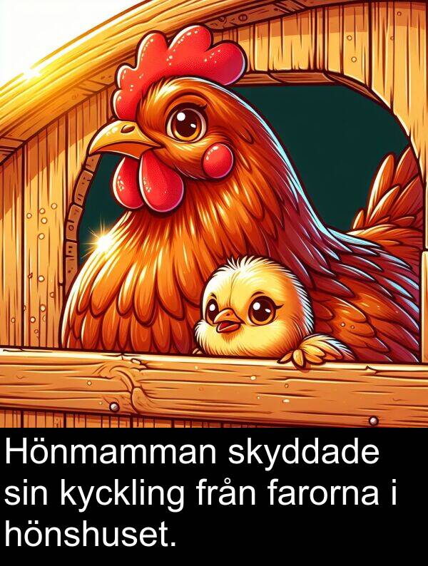 hönshuset: Hönmamman skyddade sin kyckling från farorna i hönshuset.