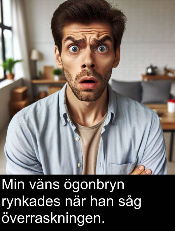 ögonbryn: Min väns ögonbryn rynkades när han såg överraskningen.
